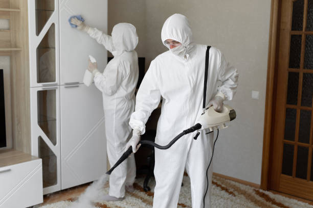 Affordable Sewage Cleanup solutions in Ericson, NE